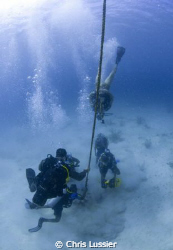 U.S. Navy Divers training with members of the Barbados Co... by Chris Lussier 